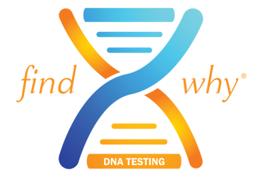 Specialty-Lab-Testing-DNA-375x250